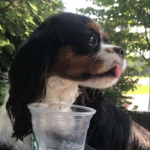 Meet your Posher, Nour